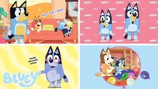 Bluey Book Reads Series 1 📚  1 HOUR of Bedtime Stories Read by Celebs  Bluey [upl. by Atteniuq828]