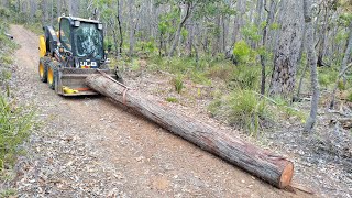 Setting poles for a caravan shelter amp felling a jarrah for roof timbers  Ep 28 [upl. by Elka]