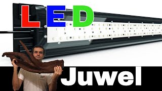 LED upgrade for Juwel Rio 240 [upl. by Anawaj]