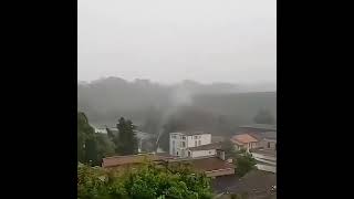 quotLightning Strikes Tree Falls in France Amidst Severe Stormquot ytshort trending [upl. by Thorstein]