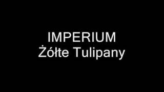 Imperium  Żółte Tulipany [upl. by Ominoreg]