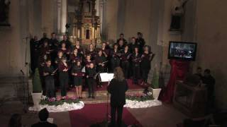 MLLightfoot Jubilate Alleluia  Ensemble Vocale Lingiardi Mozzanica [upl. by Yssor745]