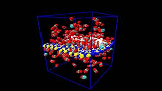 Simulated CO2 absorption using h BNPVA [upl. by Epolenep]