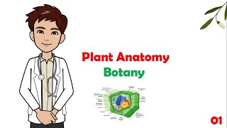 Botany  01 Plant anatomy  cell wall  plasmodesmata   شرح مادة البوتاني للكليات الطبية [upl. by Htebasile]