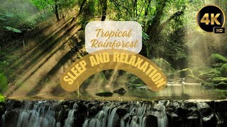 Tropical Rainforest Sounds ┃1 HOUR ┃ Sleep amp Relaxation ┃ Ultra 4K UHD [upl. by Bough]