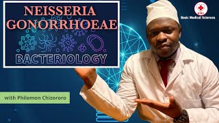 Neisseria gonorrhea [upl. by Dunson]