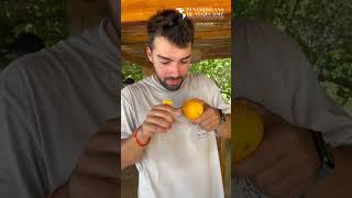 Influenciador español prueba la granadilla por primera vez fruta típica de Colombia travel [upl. by Ahsinet]