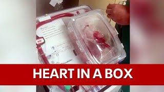 Heart in a Box increases viability for donated organs [upl. by Smeaj]