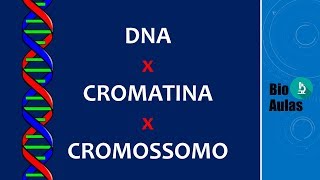 DNA Cromatina e Cromossomo Diferenças Biologia Molecular  Bio Aulas [upl. by Hammel]