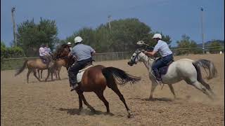 Polocrosse training July 22 [upl. by Stanislaus581]