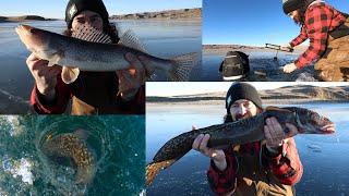 Ice Fishing Diefenbaker BAREBONES Electronics VERY Possible [upl. by Onivla]