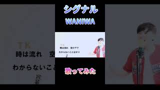 歌ってみた WANIMA シグナル コーラス cover 1人カラオケ カラオケ ハモコーラス shorts ハモリ [upl. by Auqenwahs8]