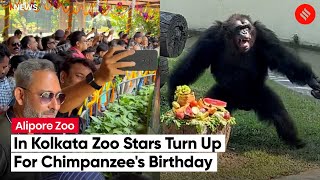 In Kolkatas Alipore Zoo Celebrities Turn Up to Celebrate 34th Birthday Of Chimpanzee [upl. by Naneek320]