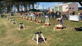 Woodchopping Final 325mm Underhand Championship Launceston Show 141023 amandabeams3354 [upl. by Mercer]