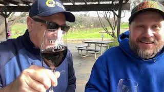 Wine in Amador county with Terra D’oro california zinfandel redwine wine [upl. by Lyndy162]