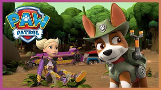 Tracker and Pups stop Cheetah from destroying the Jungle  PAW Patrol Cartoons for Kids Compilation [upl. by Aracaj595]