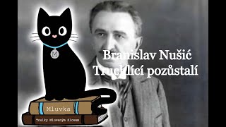 Branislav Nušić  Truchlící pozůstalí Komedie Mluvené slovo SK [upl. by Willms]