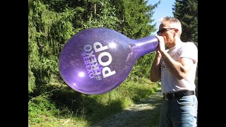 balloon blow to pop – Everts 14“ [upl. by Naejeillib]