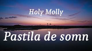 Holy Molly  Pastila de somn lyrics [upl. by Charlot492]