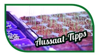 Aussaat amp Gartentipps im Januar 🌱 Jungpflanzenanzucht im Januar 🌱 Selbstversorgung [upl. by Selrahcnhoj934]