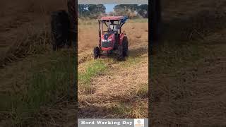 Hard Working Day 170 Dry Hay Spreader In The Field [upl. by Lebar]