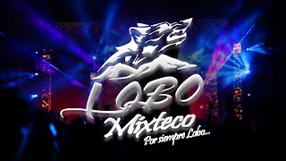 LOBO MIXTECO  LA CUMBIA DEL SUPERIOR LIVE 2020 [upl. by Emiolhs30]