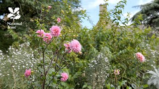 Explore an Arts and Crafts garden with the National Trust at Hidcote [upl. by Kahler]