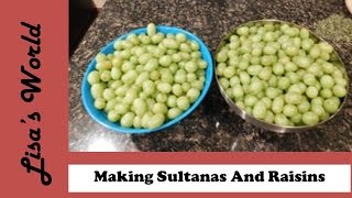 How To Make Sultanas  Raisins From White Grapes with Lisas World [upl. by Cerell170]