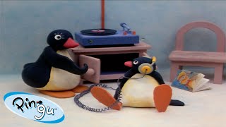 Best Episodes from Season 1  Pingu  Official Channel  Cartoons For Kids [upl. by Ycniuqal]