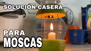 SOLUCIÓN CASERA PARA ESPANTAR LAS MOSCAS 🪰🪰🪰 Y DEJAR UN AROMA AGRADABLE [upl. by Glad12]