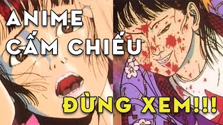 Giải mã bộ Anime kinh khủng nhất Nhật Bản [upl. by Eulau]