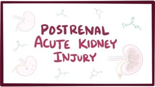 Postrenal acute kidney injury acute renal failure  causes symptoms amp pathology [upl. by Anada]