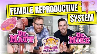 Female Reproductive System  Podcast [upl. by Lewellen]