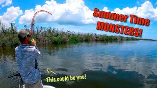 We Caught Over A Dozen MONSTER Redfish Using These Summer Time Tactics How To Beat The Heat [upl. by Nbi]