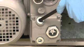 SCIEX 5500amp6500 Systems Pump Oil Change [upl. by Ardys]