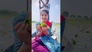 শাপলার ফল দিয়ে কি করবো🤔video minivlog shortvideo viralvideo village hardwork [upl. by Tiny947]