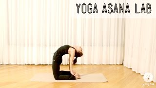 Yoga Asana Lab Backbends Worm pose Camel pose Bow pose [upl. by Loretta]