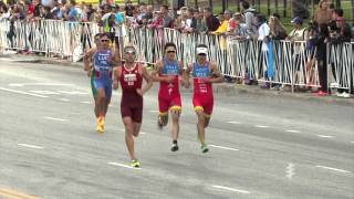 2015 ITU World Triathlon Chicago  Elite Mens Highlights [upl. by Lednam177]