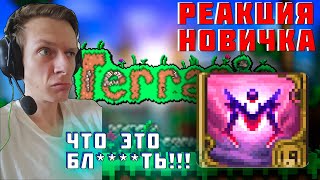 Террария calamity глазами новичка в 2024  Terraria [upl. by Idnyc]