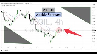 WTI Oil Weekly Forecast for September 13 2024 [upl. by Daeriam]