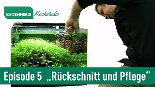 Aquarium Rückschnitt und Pflege  Aquarium nach Rezept Folge 5  DENNERLE [upl. by Bottali63]