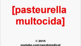 Pronounce Pasteurella multocida  SpeakMedical [upl. by Mathe32]