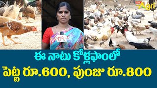 Benefits of Natu Kollu Farming  ఈ నాటు కోళ్ల ఫాంలో పెట్ట రూ600 పుంజు రూ800  Tone Agri [upl. by Boycie688]