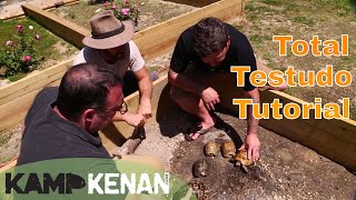 Testudo Tortoise Tutorial [upl. by Anej]