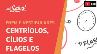 Me Salva CIT21  Citologia  Organelas citoplasmáticas 4  Centríolos Cílios e Flagelos [upl. by Decima]