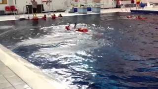 STCW 95 Training [upl. by Avirt]