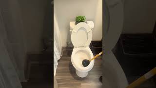 How To Unclog A Toilet [upl. by Stuppy]