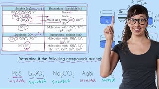 Solubility Rules [upl. by Demodena360]