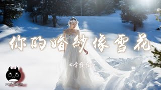 李發發  你的婚紗像雪花『回想我們一起走過的年華，最終卻沒給你一個家。』【動態歌詞  Pinyin Lyrics】【PENGUIN MUSIC】 [upl. by Anrapa]