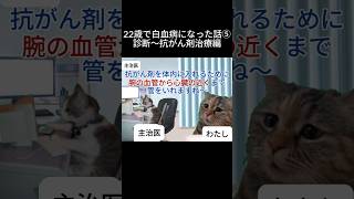 22歳で白血病になった話⑤ 自己啓発 闘病 辛い 白血病 猫ミーム [upl. by Pas]